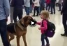 😢Ohhh What😢 Why Security Dog Started Barking at a Child’s Backpack—What Was Inside Made the Whole Airport Go Silent Watch: see more